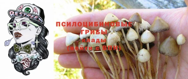 jwh Горняк