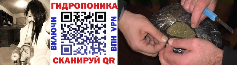 где купить наркоту  Верхотурье  Бошки Шишки Bruce Banner 
